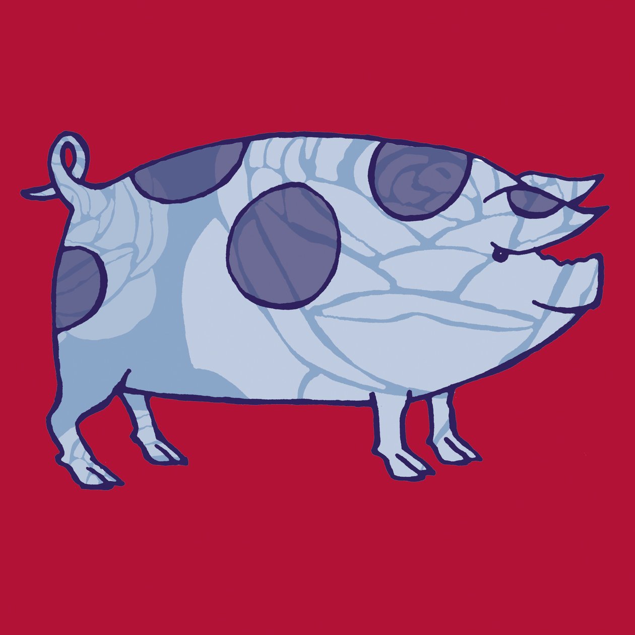 Piddle Valley Pig, 2005 (digitalt) av Sarah Hough