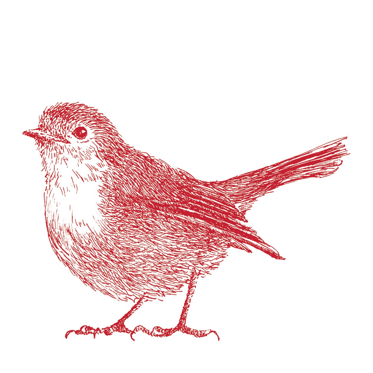 Robin, 2017 av Sarah Hough