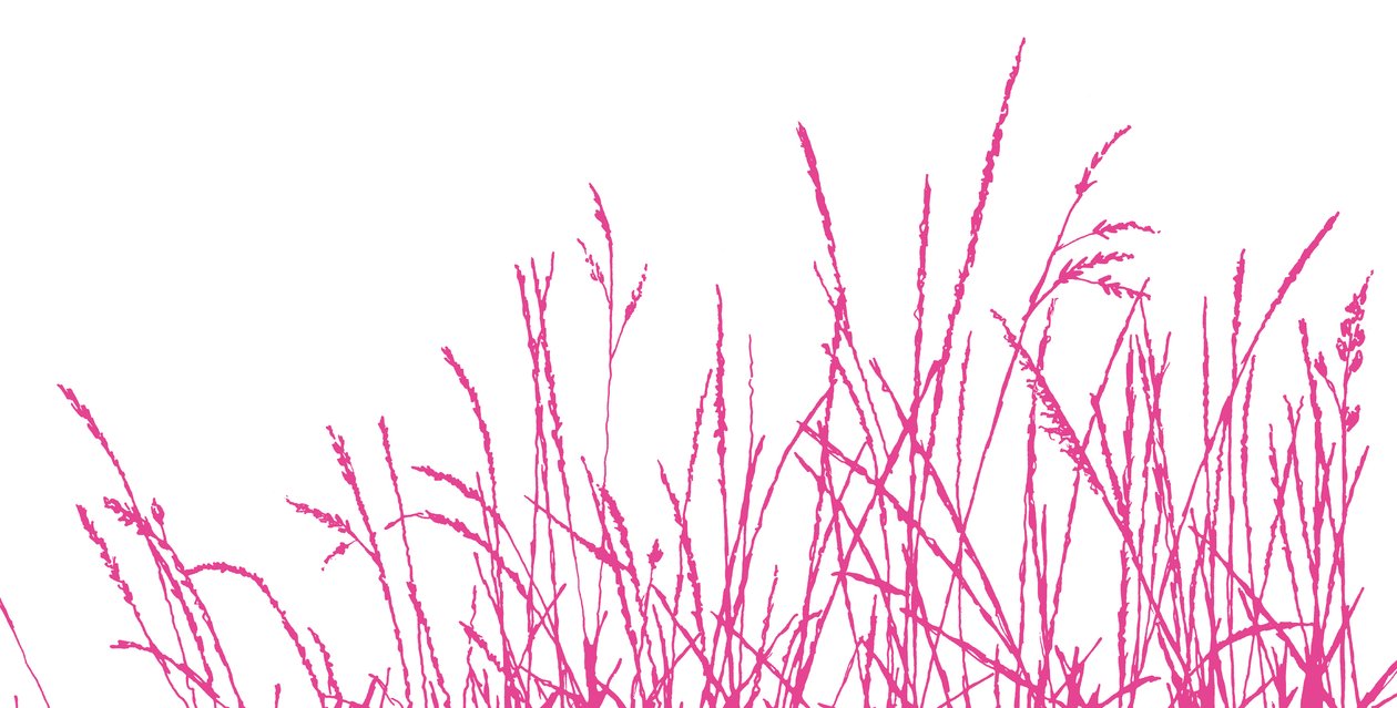 Wild Whisper, 2009 (digital) av Sarah Hough