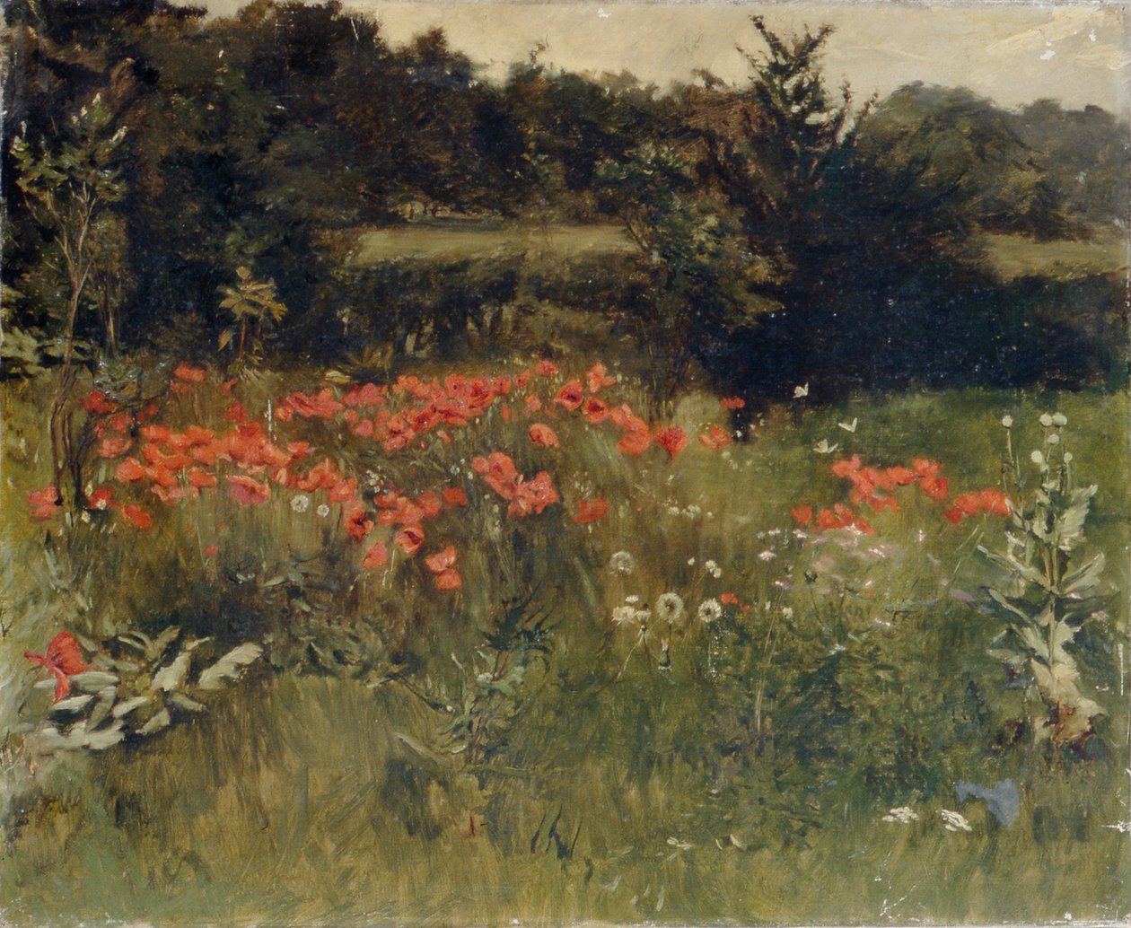 Poppies, Reigate av Sarah Paxton Ball Dodson