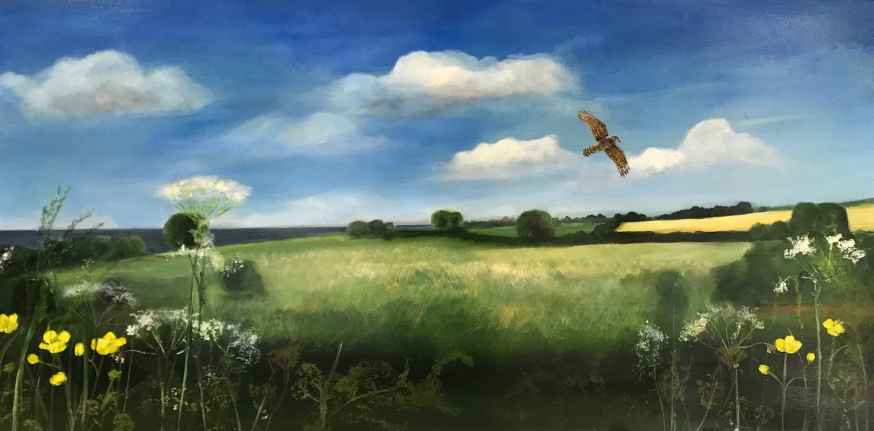 Buzzard, 2022 (olja ombord) av Sarah Thompson Engels