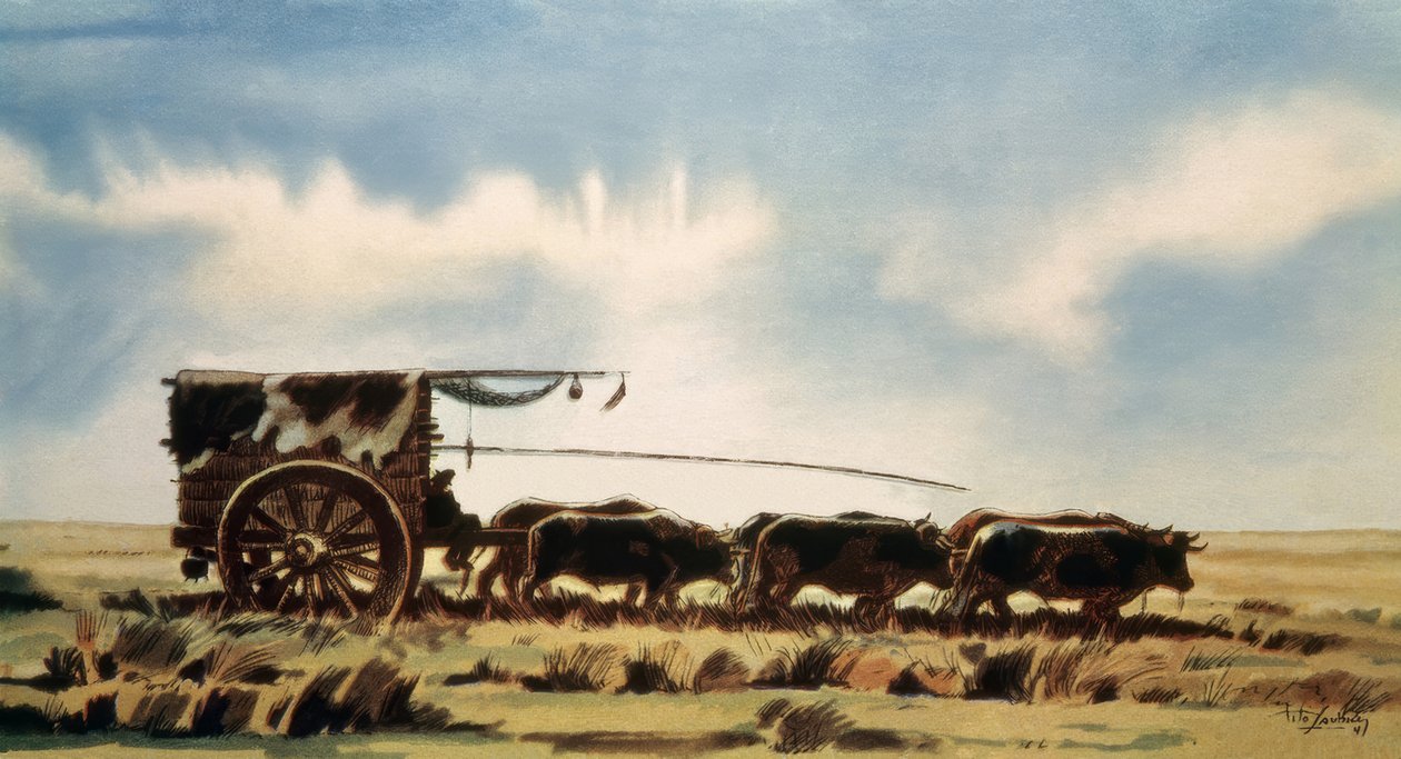 Korsar Pampas med vagn av Saubidet Tito