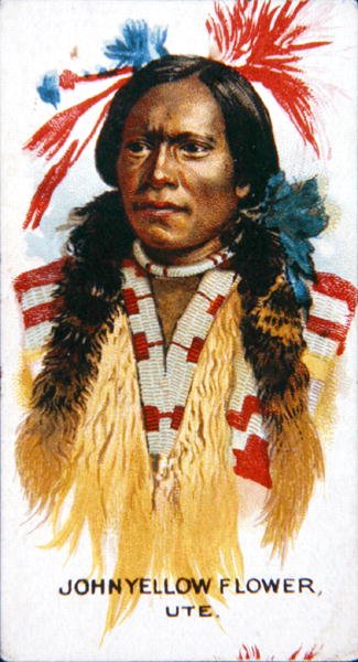 John Yellow Flower (färg litho) av School American