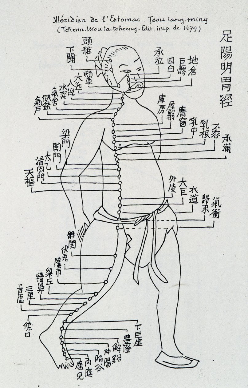 Akupunktur: "" Meridian i magen"", red. av School Chinese