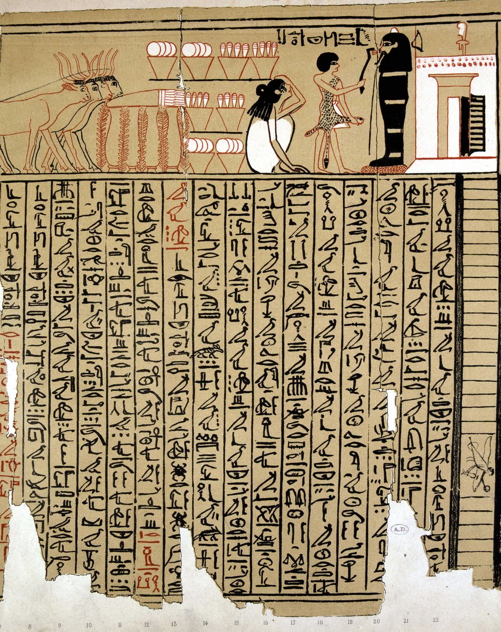 Egyptiska hieroglyfer av School Egyptian
