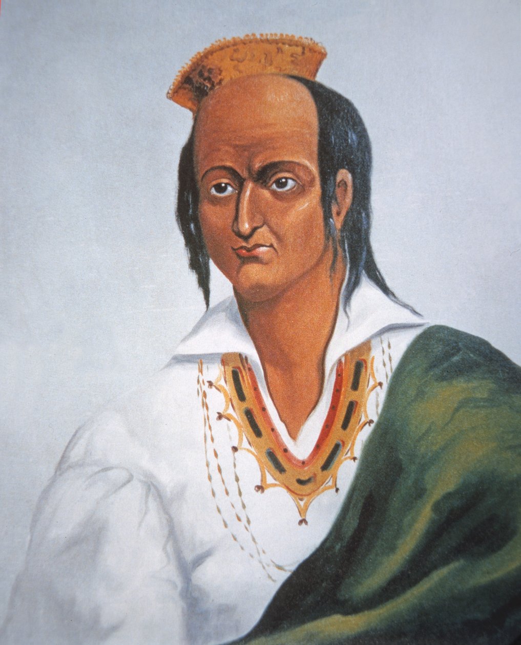 Metacomet (färg litho) av School English