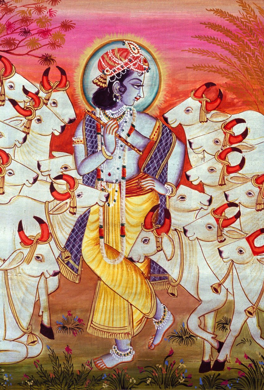 Lord Krishna och kor Miniatyrmålning av School Indian