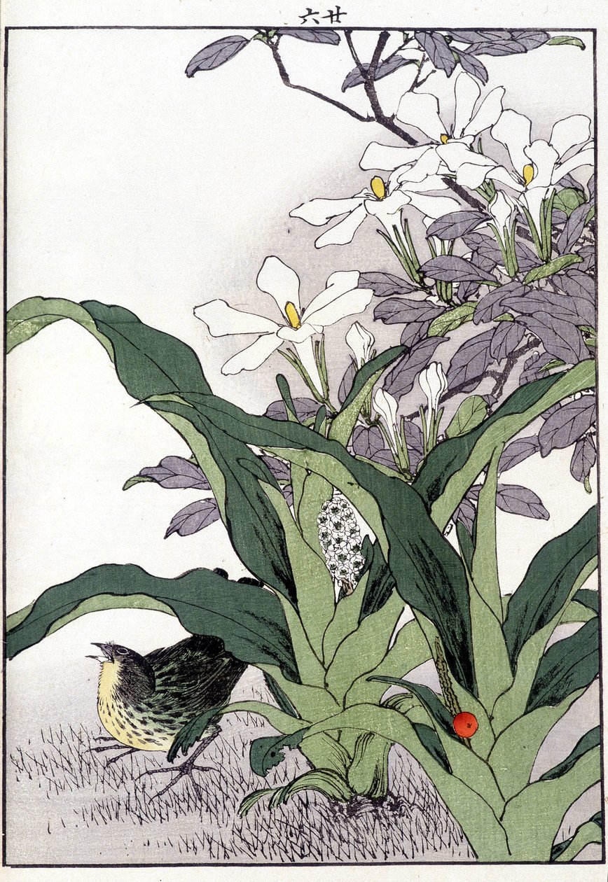 Fågel i blommorna - japanskt tryck av Japanese School