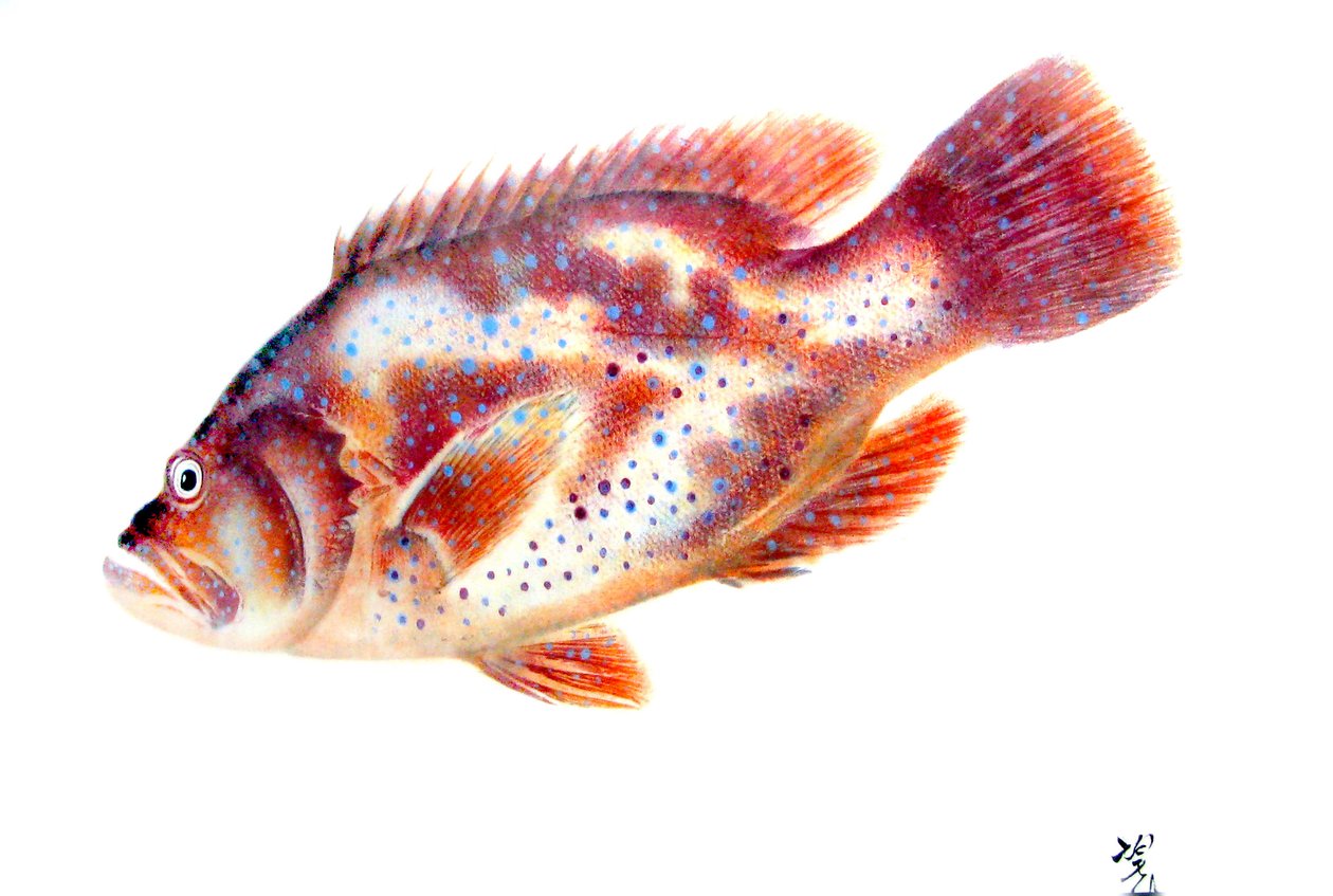 Gyotaku av Japanese School