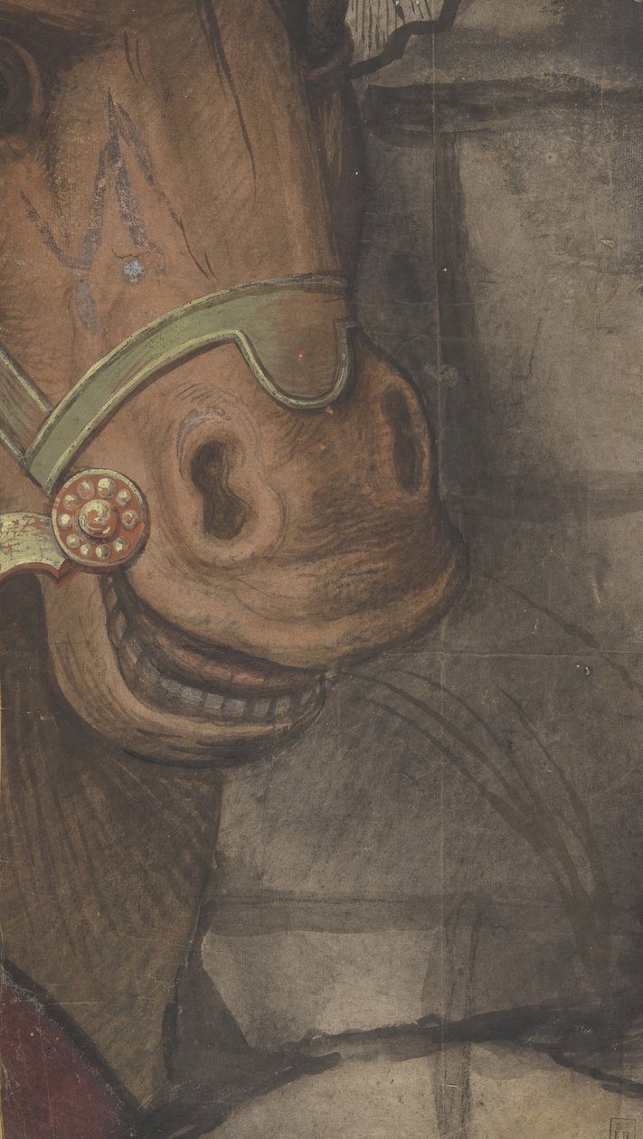 Hästhuvud, 1500-1550. av School of Raphael.
