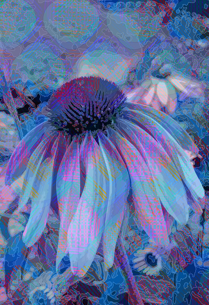 Kotteblomma av Scott J. Davis