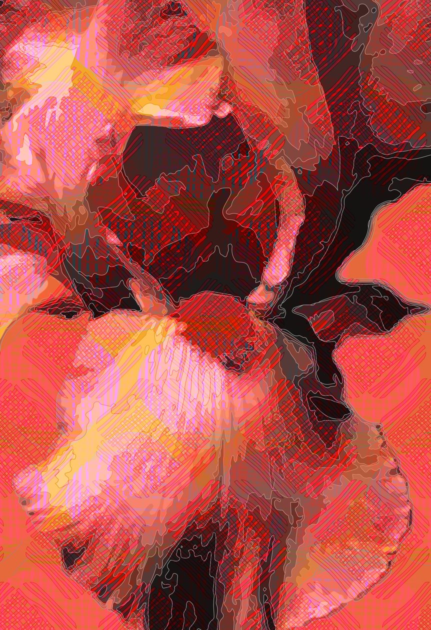 Orange iris (digital) av Scott J. Davis