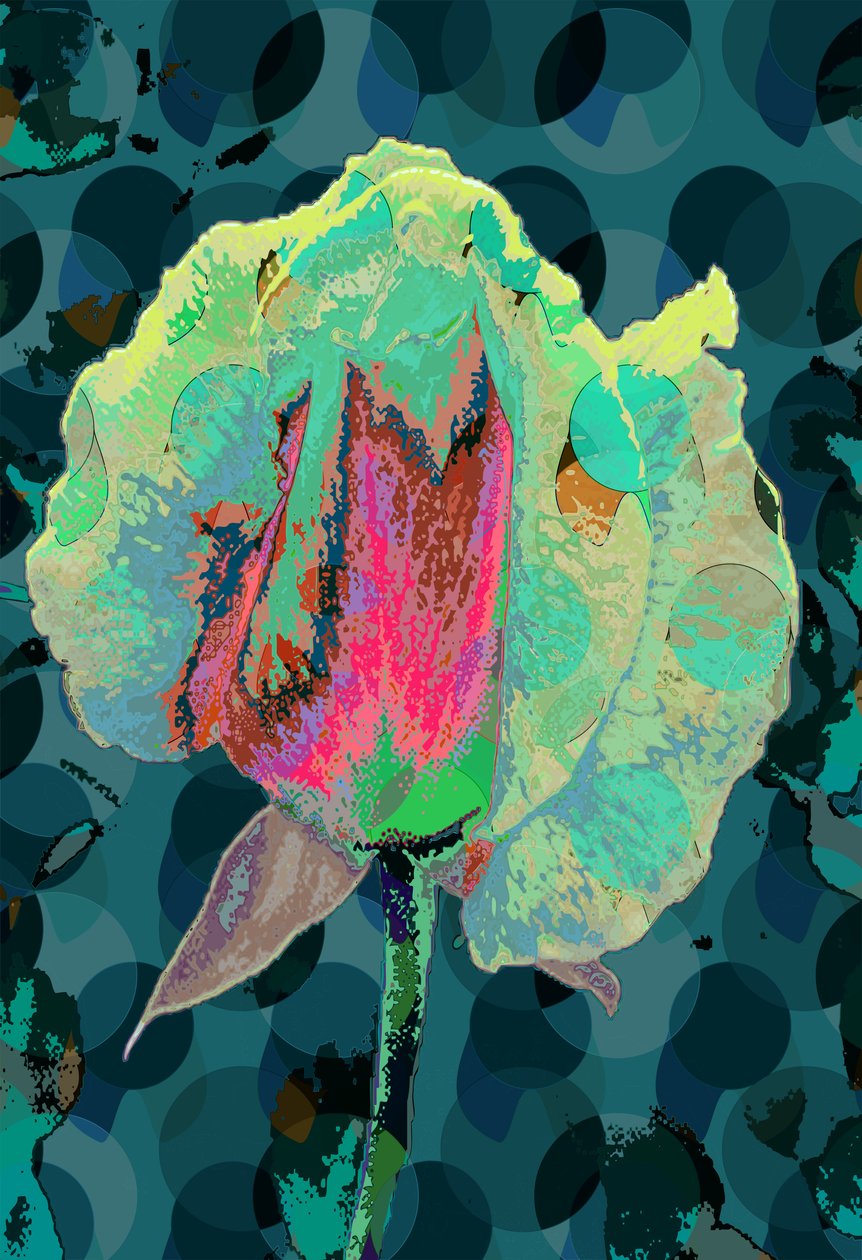 Tea Rose 4 (digital) av Scott J. Davis