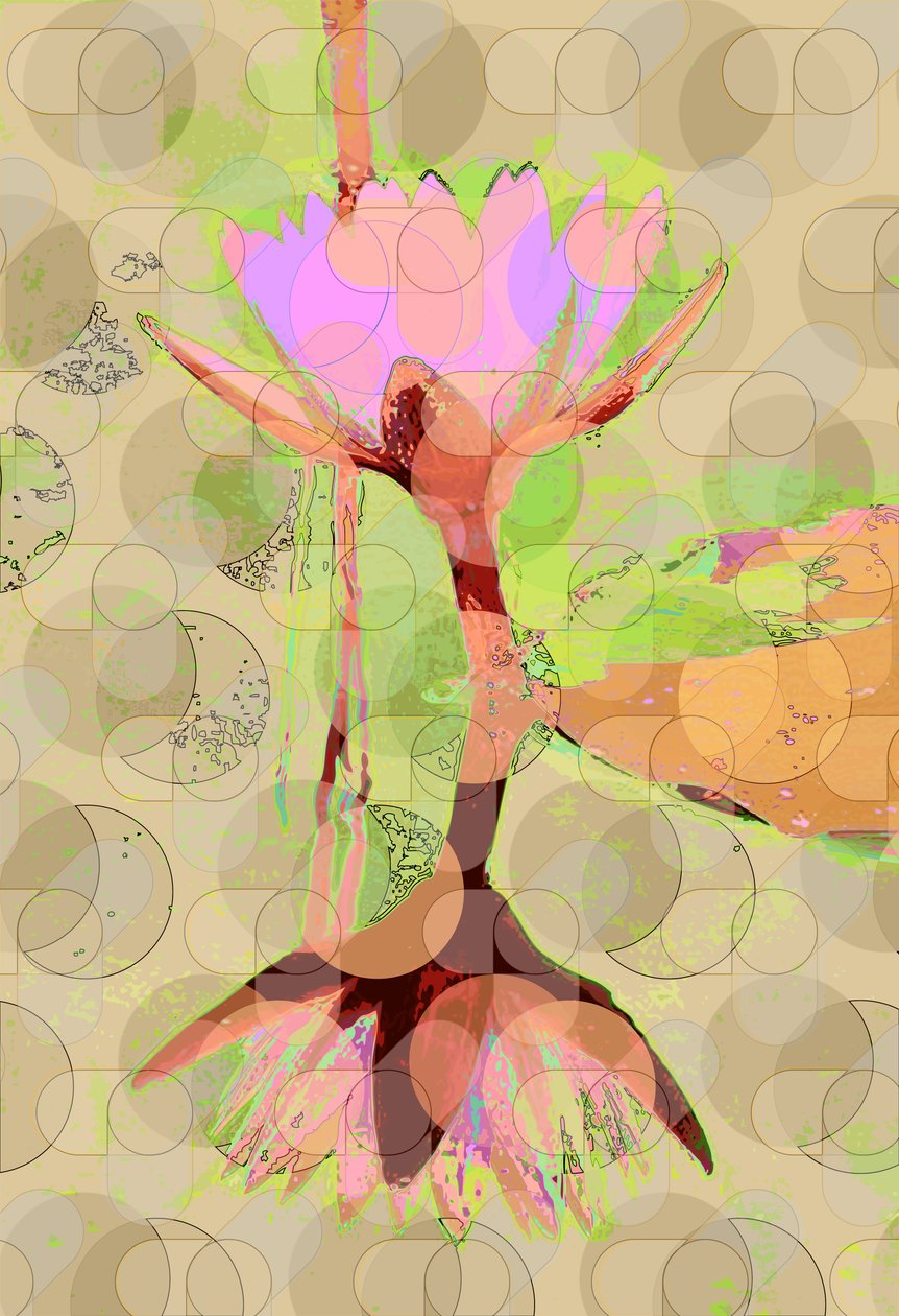 Vattenliljans reflektion (digital) av Scott J. Davis