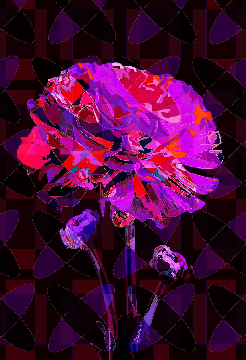 Nejlika 4, 2019 av Scott J. Davis