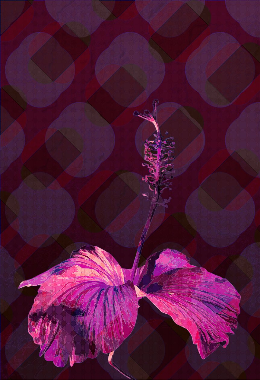 Hibiscus3, 2019 av Scott J. Davis