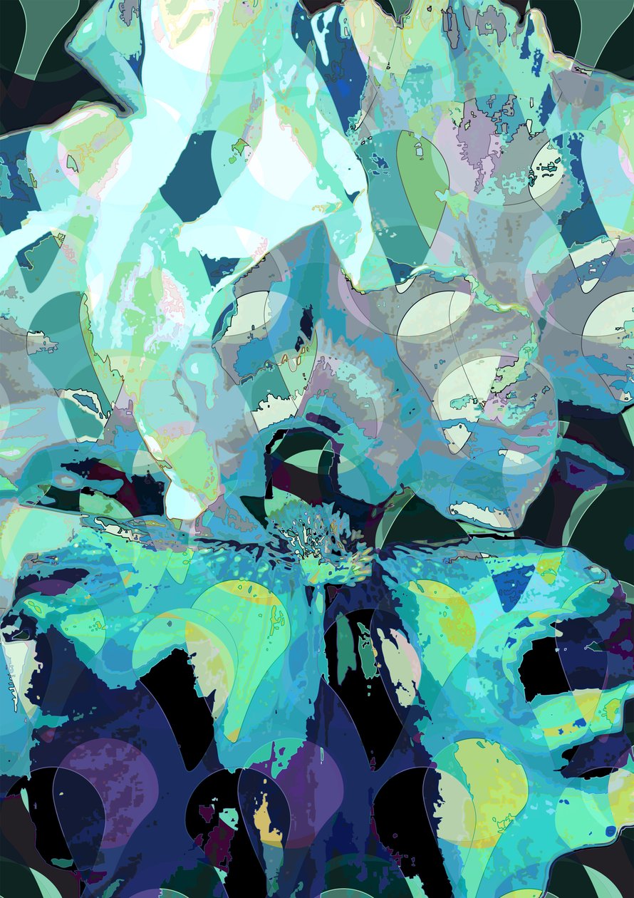Iris (digital) av Scott J. Davis