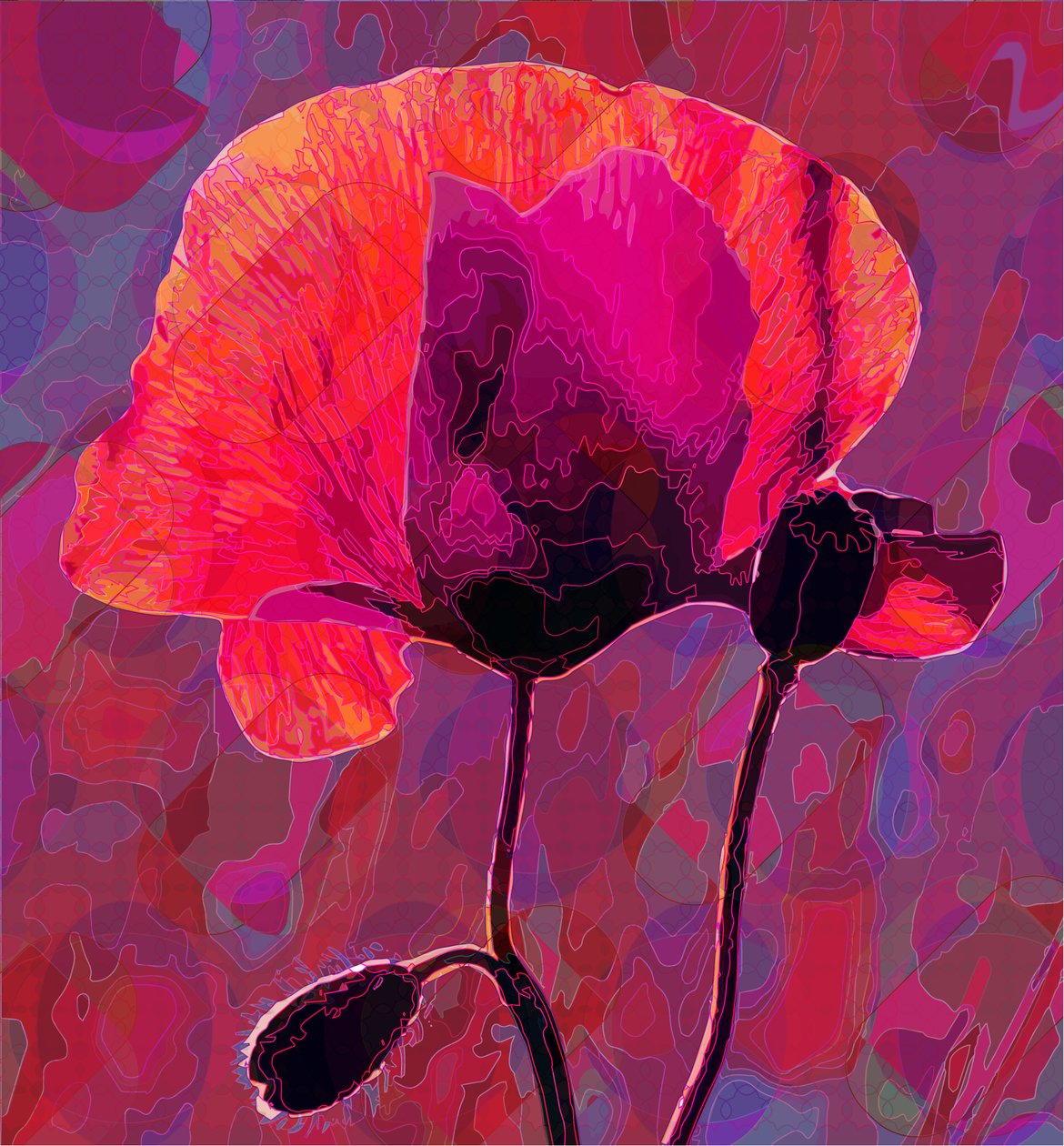 Poppy20, 2020 av Scott J. Davis