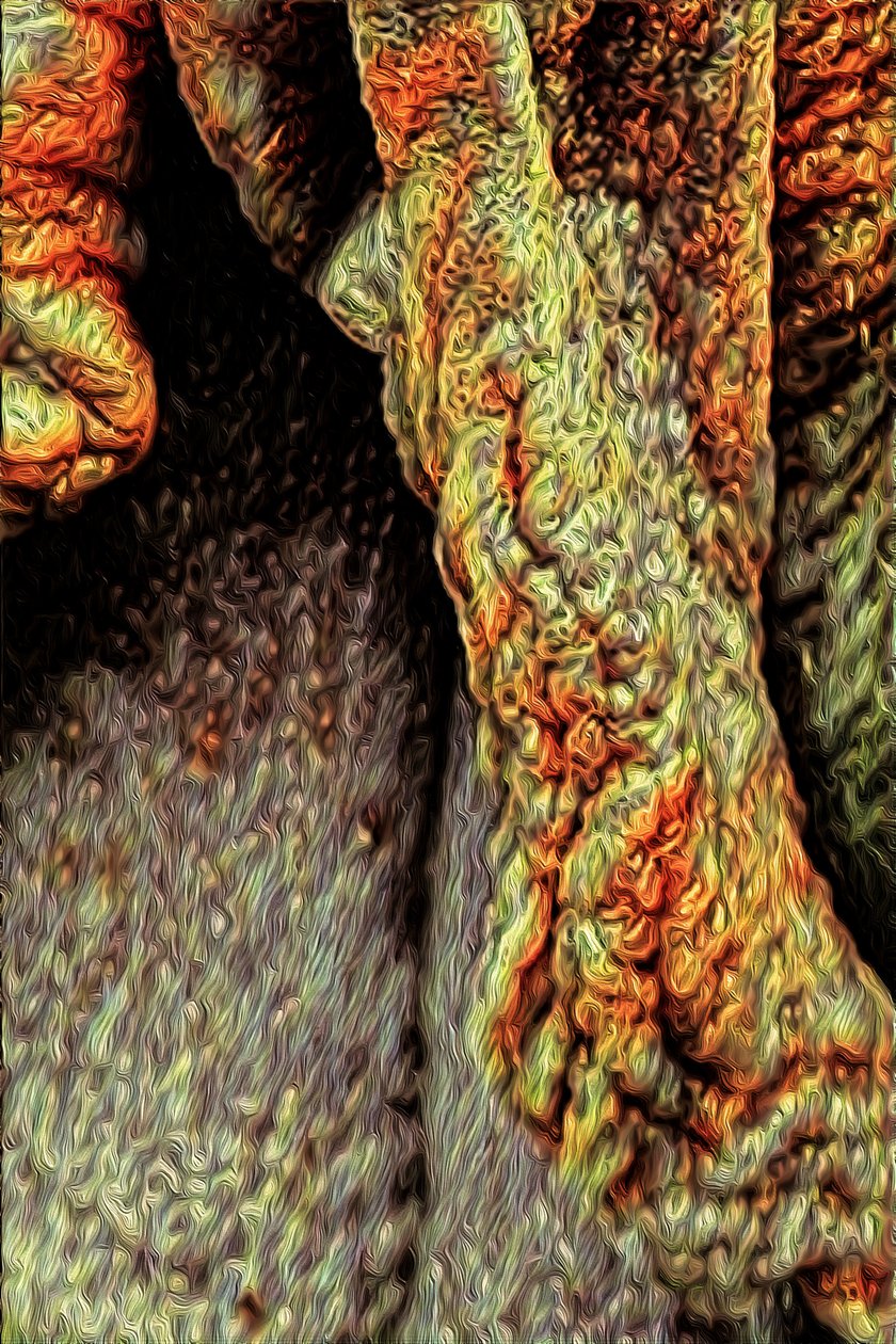 Trädstam, 2021 (digital) av Scott J. Davis