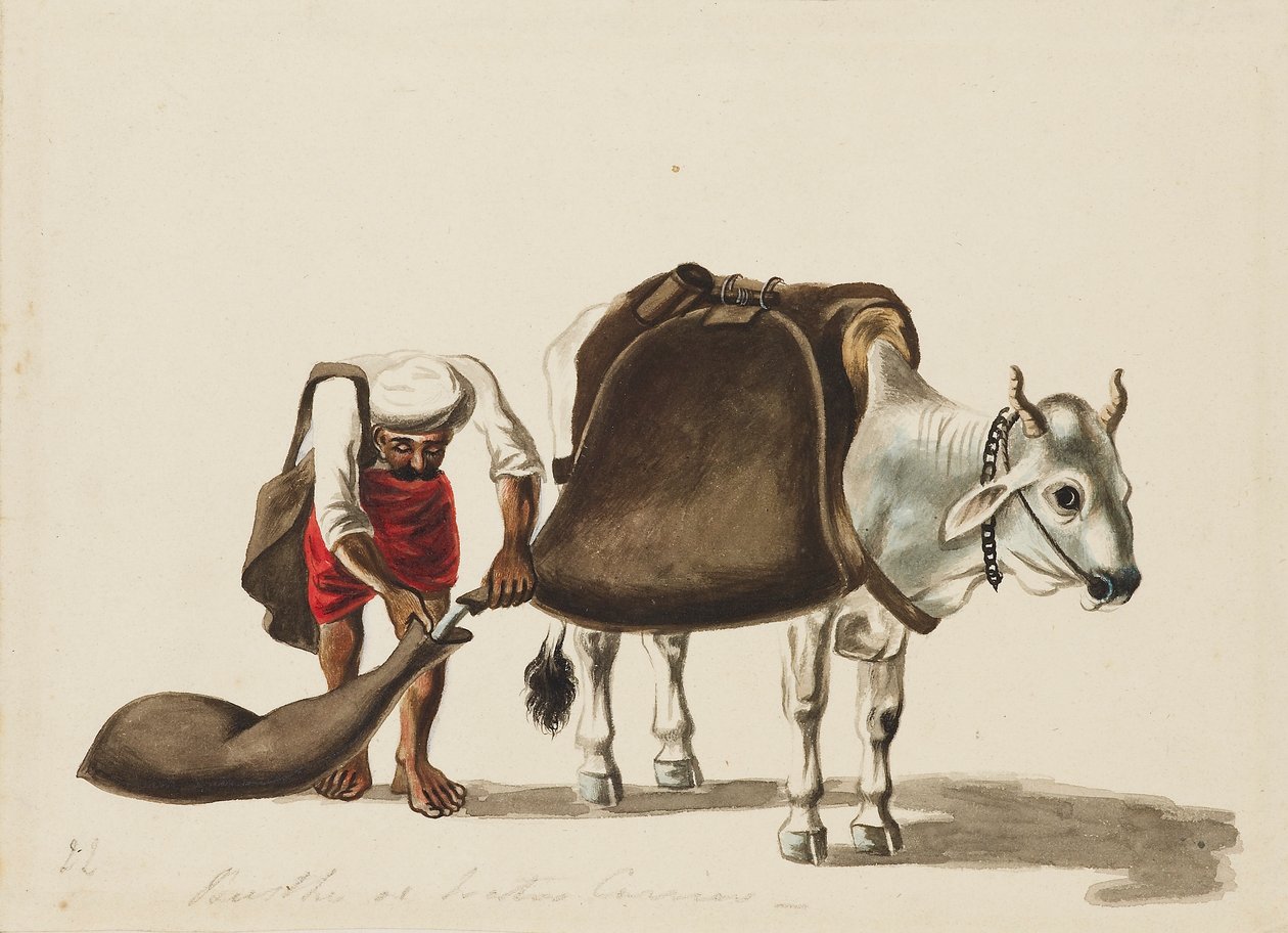 Vattenbärare, c1810 av Sewak Ram