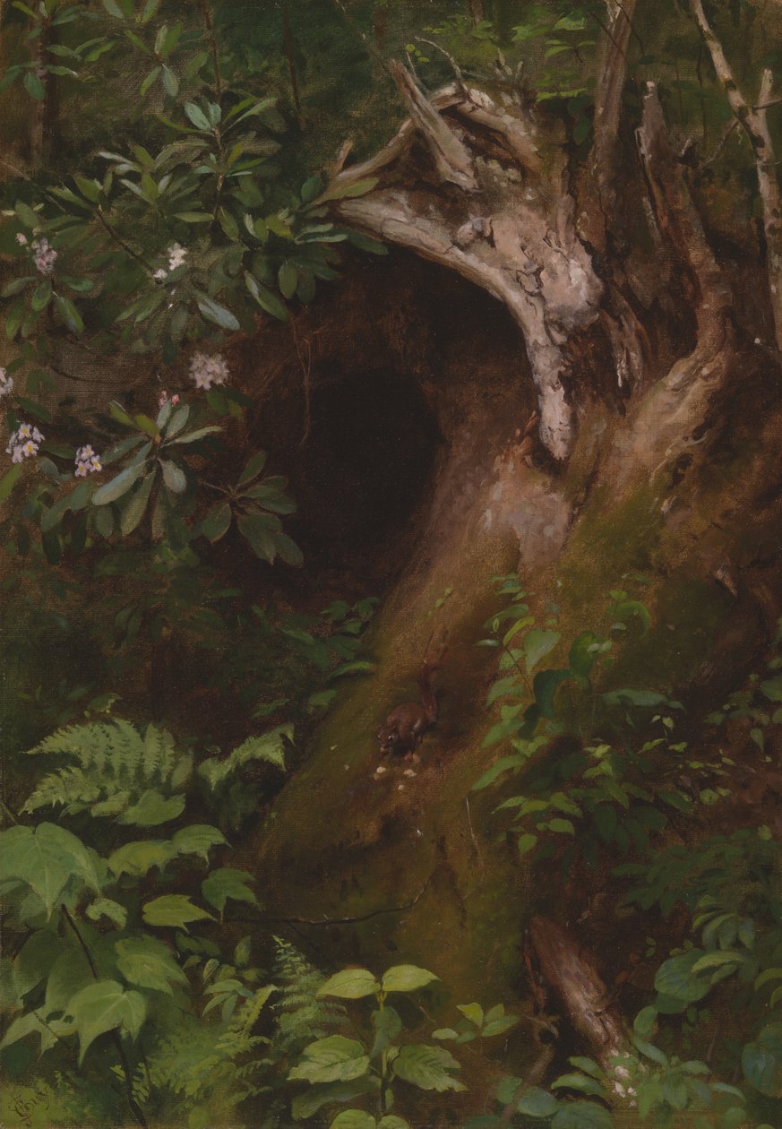 Ekorren, 1860-70-talet. av Seymour Joseph Guy