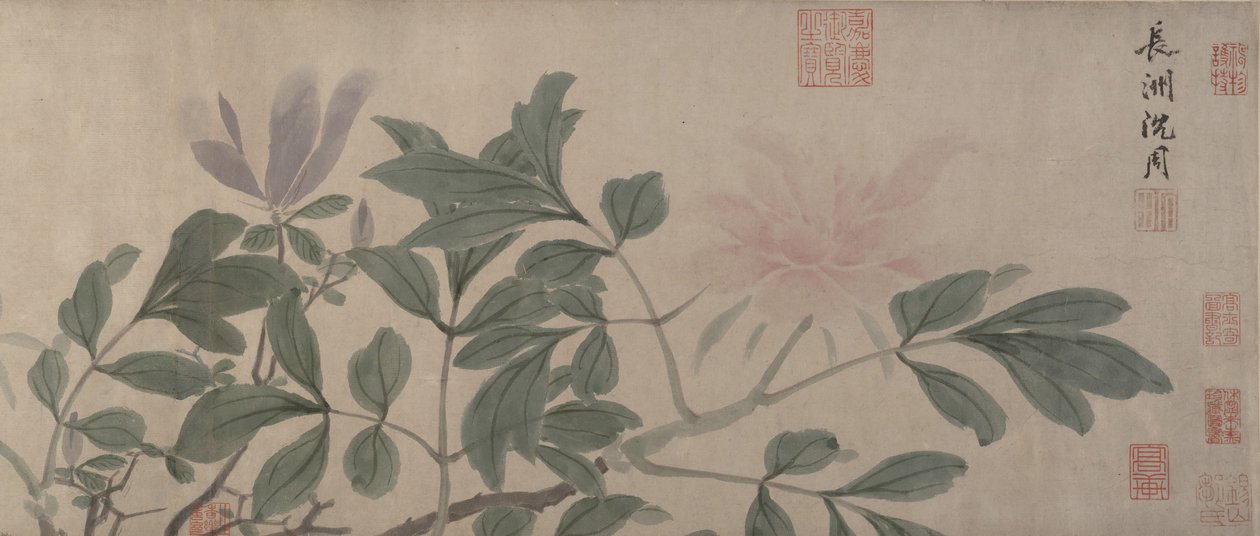 Blommor av de fyra årstiderna. av Shen Zhou