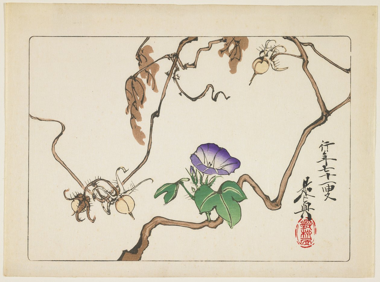 Vinstock och frön av Morning Glory, 1877 av Shibata Zeshin