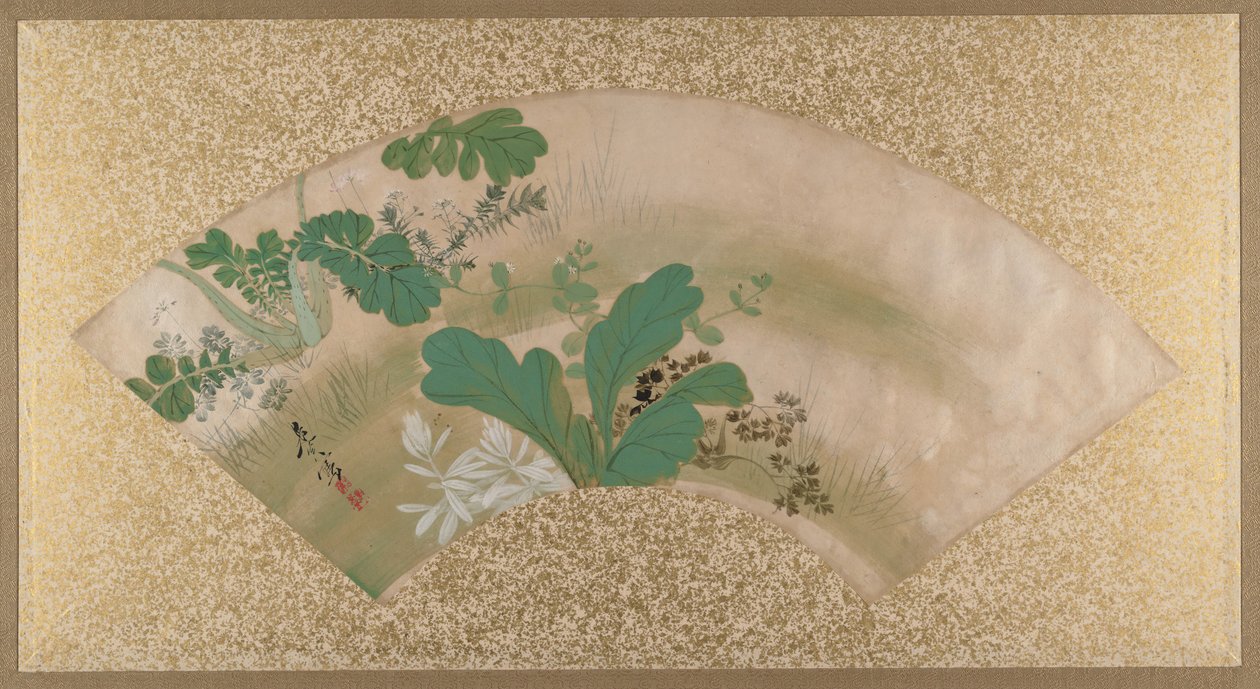 Olika växter och gräs, sent 1800-tal. av Shibata Zeshin