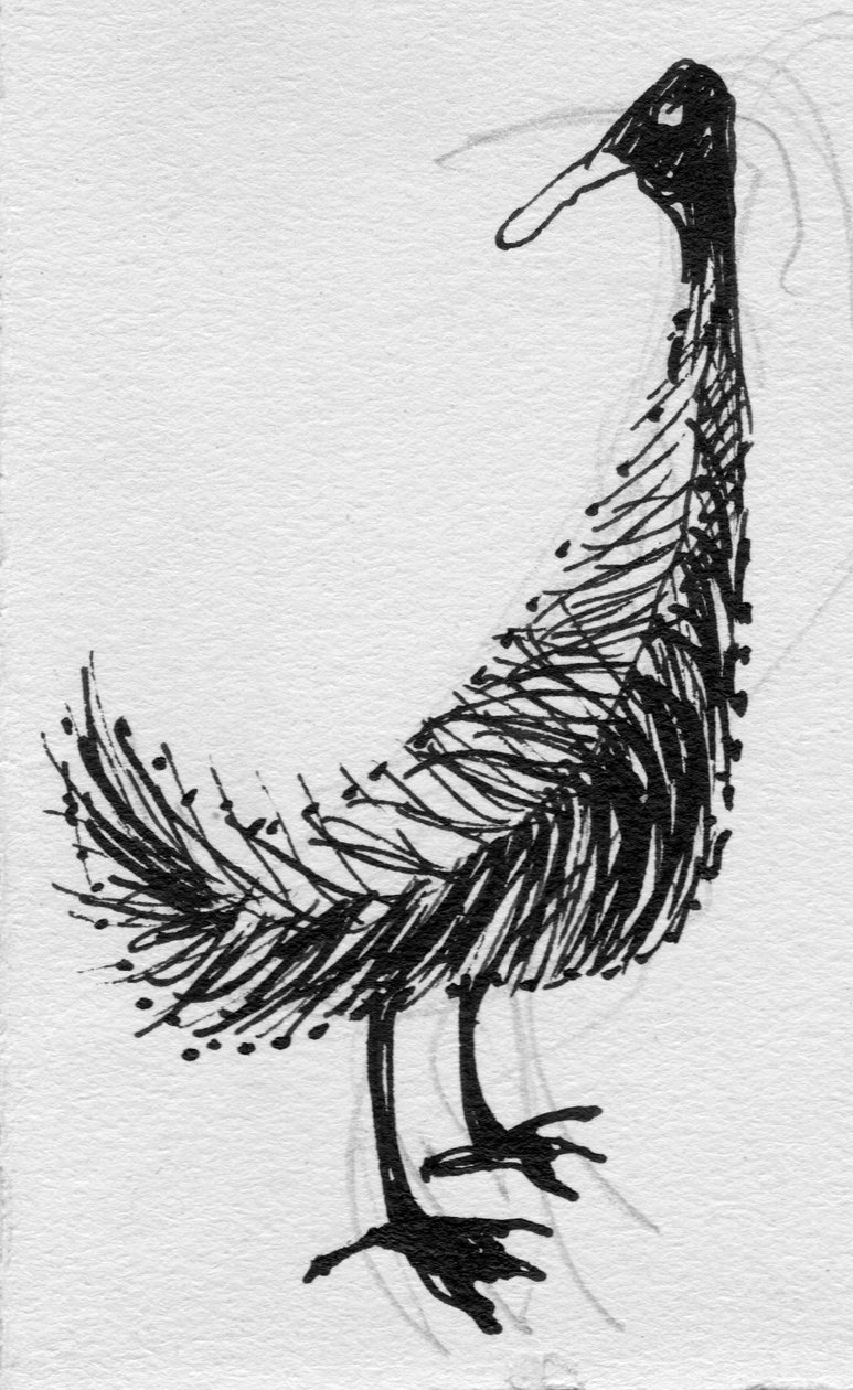 Fågel, c1950. av Shirley Markham