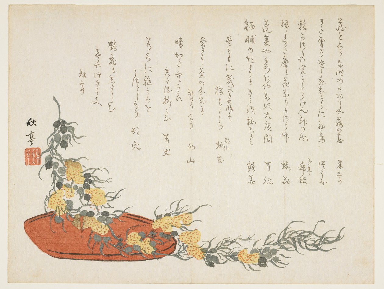 (Vine streamer), c. 1854-1859 av Shûtei Tanaka