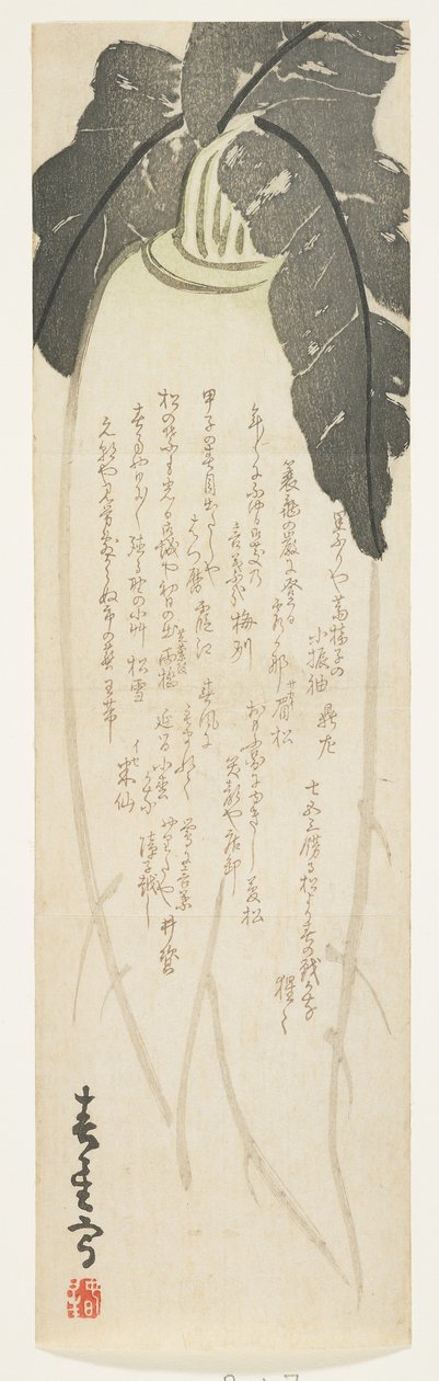 Daikon rädisa, januari 1864 (träblock i färg) av Shunsei