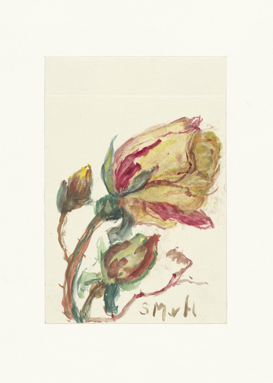 Roos av Sientje Mesdag van Houten
