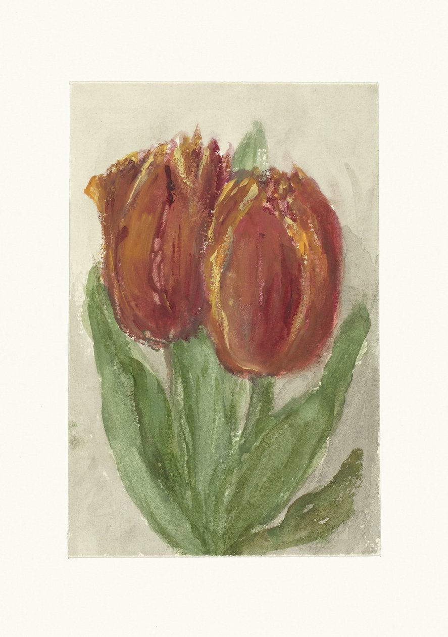 Två röda tulpaner av Sientje Mesdag van Houten