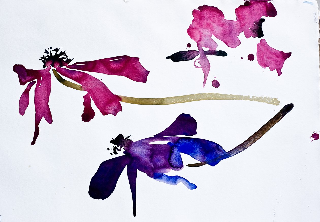Anemoner (akvarell på papper) av Simon Fletcher