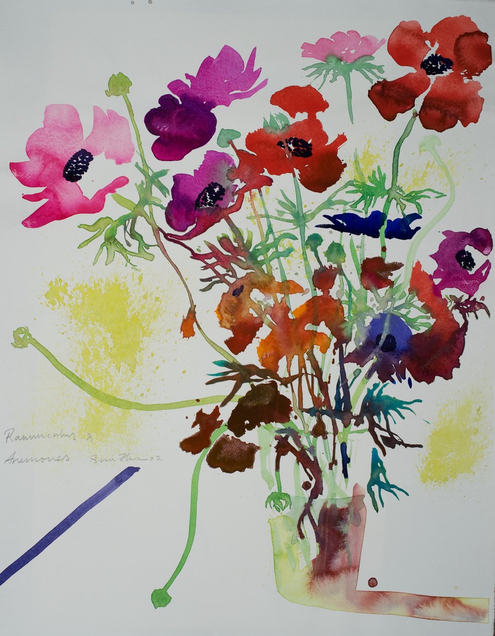 Ranunkel  anemoner, 2010 (akvarell) av Simon Fletcher