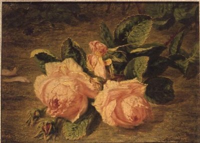 Rosa rosor av Simon Saint Jean
