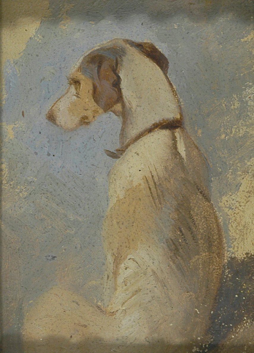 Studie av en vinthund av Sir Edwin Henry Landseer