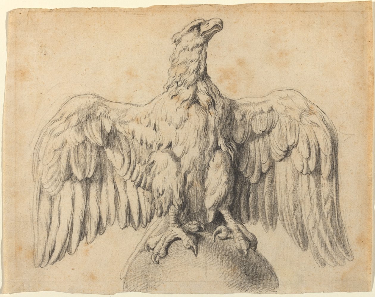 Den kapitolinska örnen av Sir Peter Paul Rubens