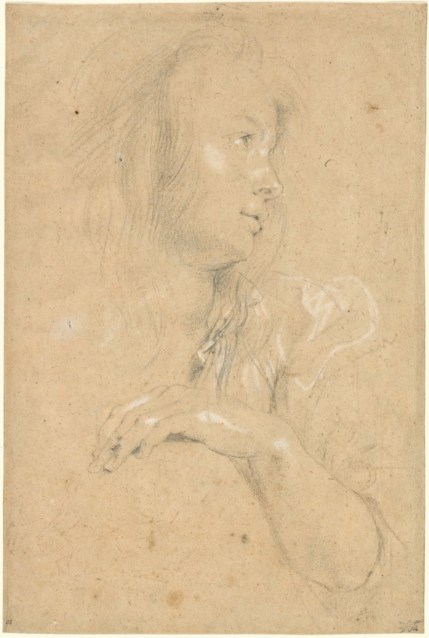 Ung kvinna i profil av Sir Peter Paul Rubens