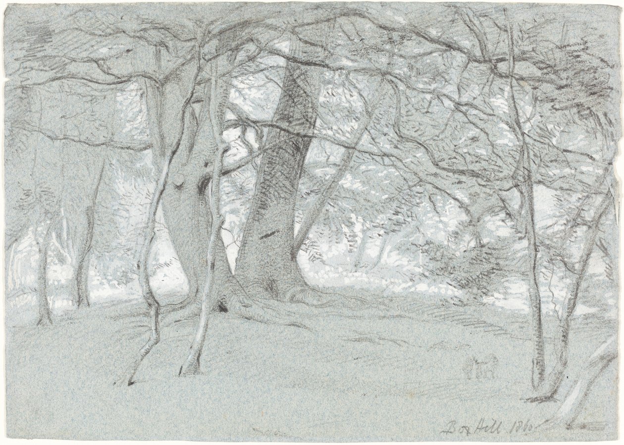 Träd vid Box Hill av Sir William Blake Richmond