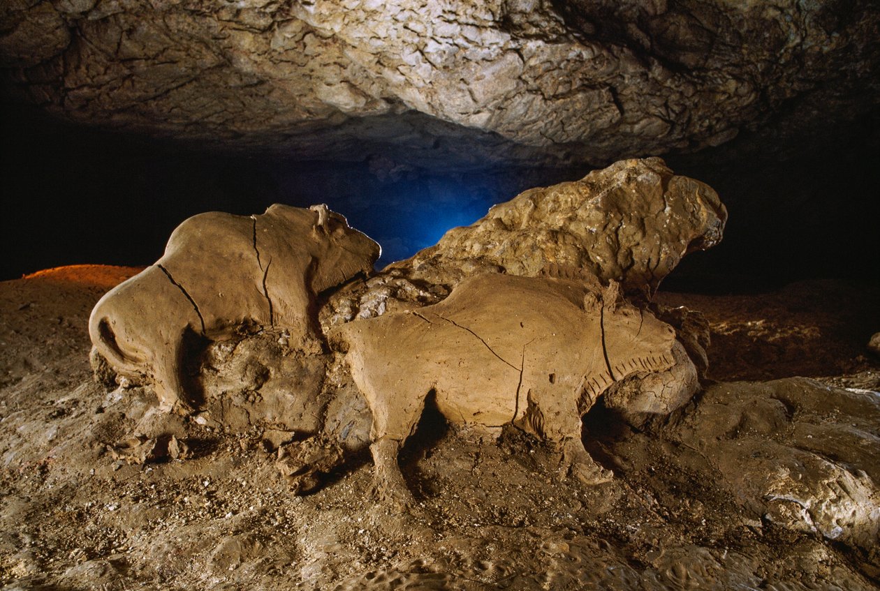 Clay Bisons från Le Tuc d™Audoubert av Sisse Brimberg