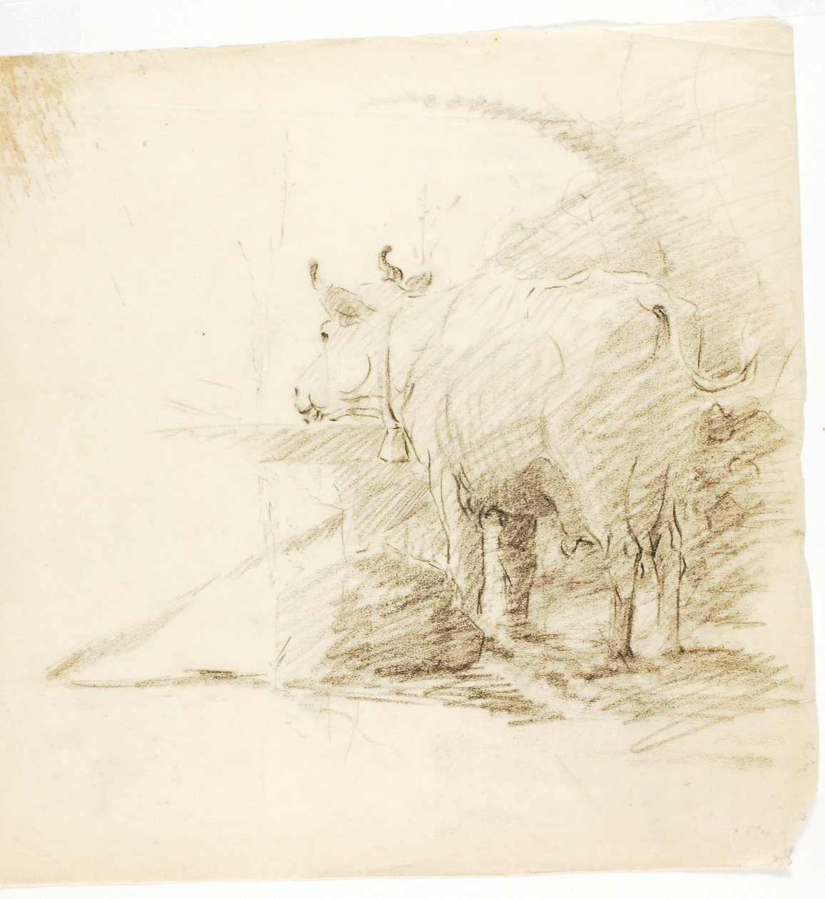 Ko av Solon H. Borglum