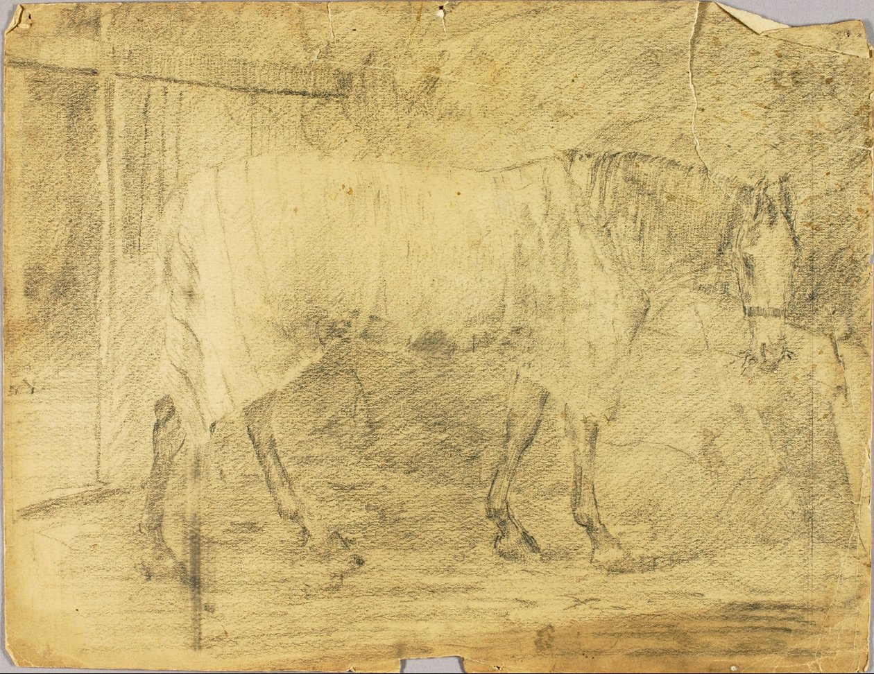 Häst av Solon H. Borglum