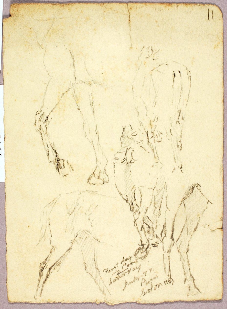 Hästar av Solon H. Borglum