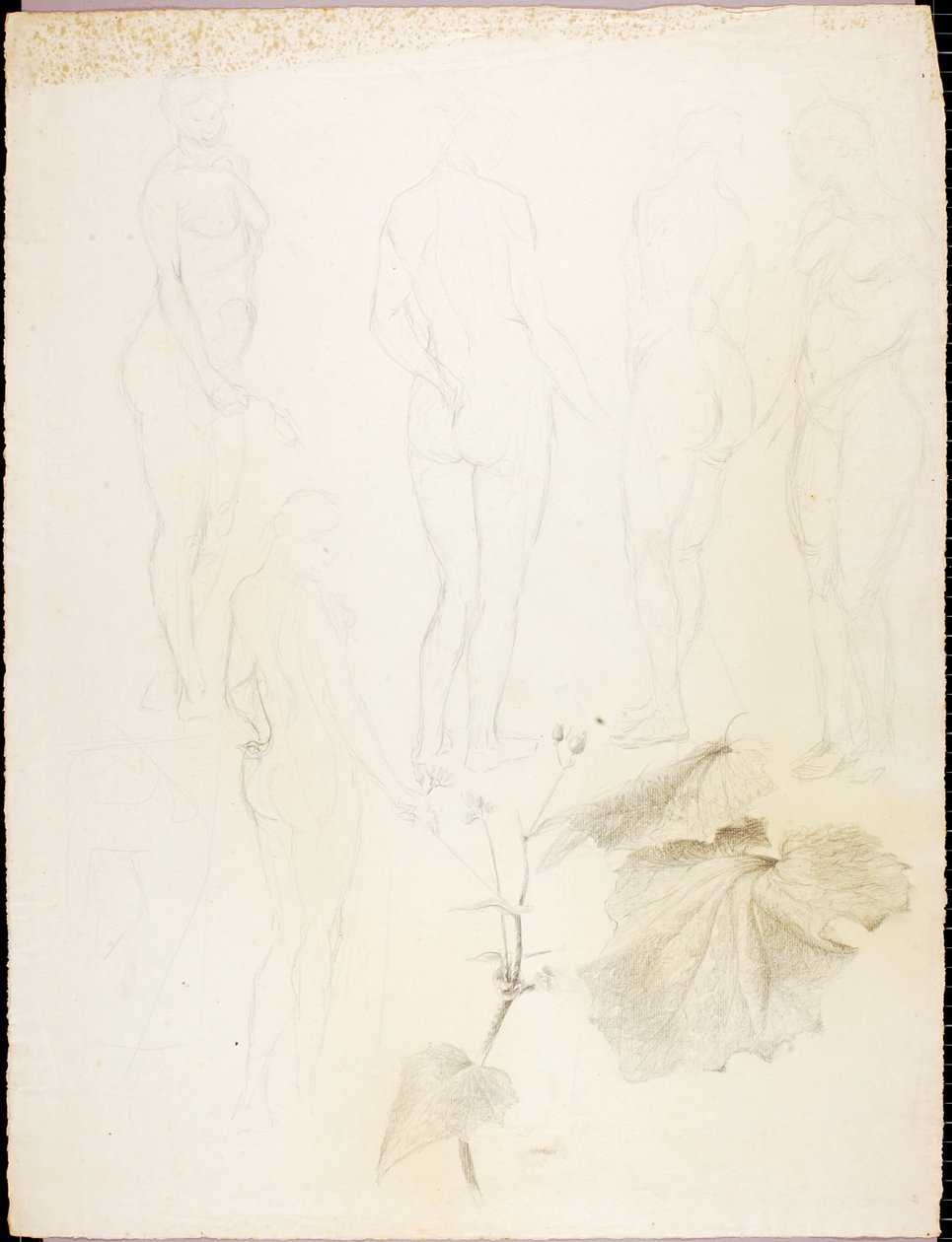 Akt och blad av Solon H. Borglum