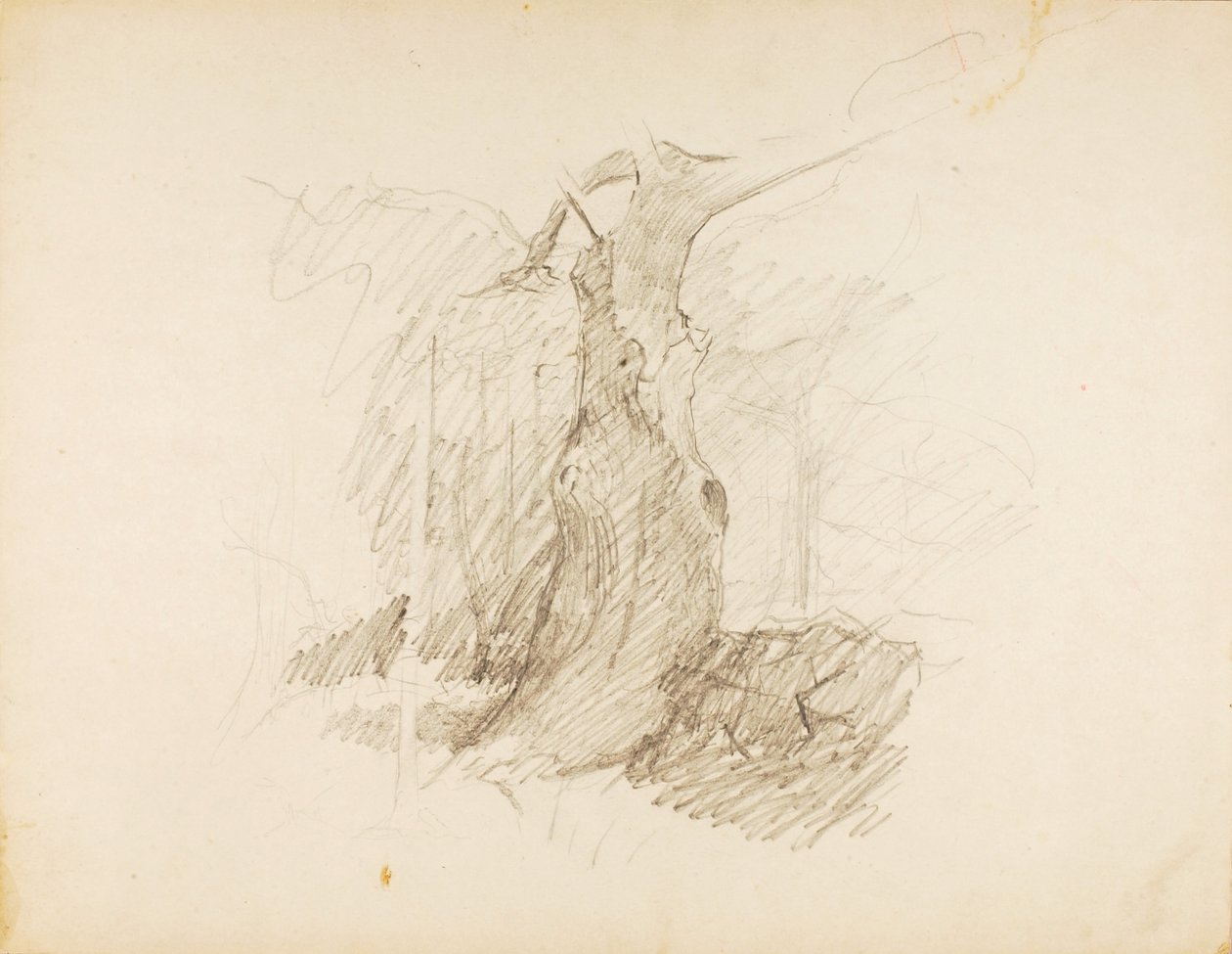 Utan titel av Solon H. Borglum