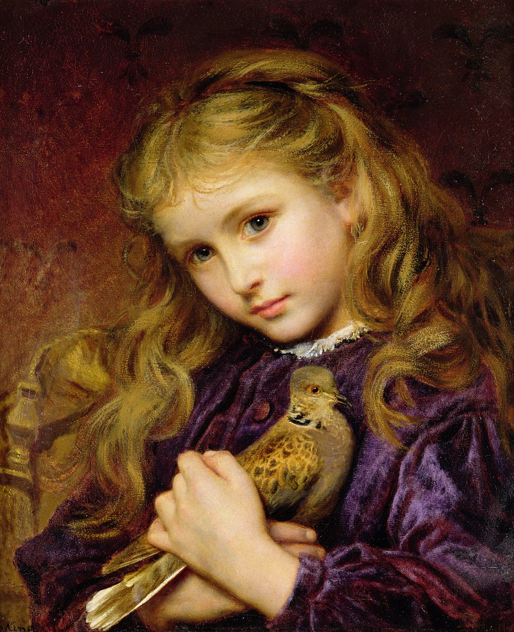 Turtle Duve (olja på duk nedlagd ombord) av Sophie Gengembre Anderson