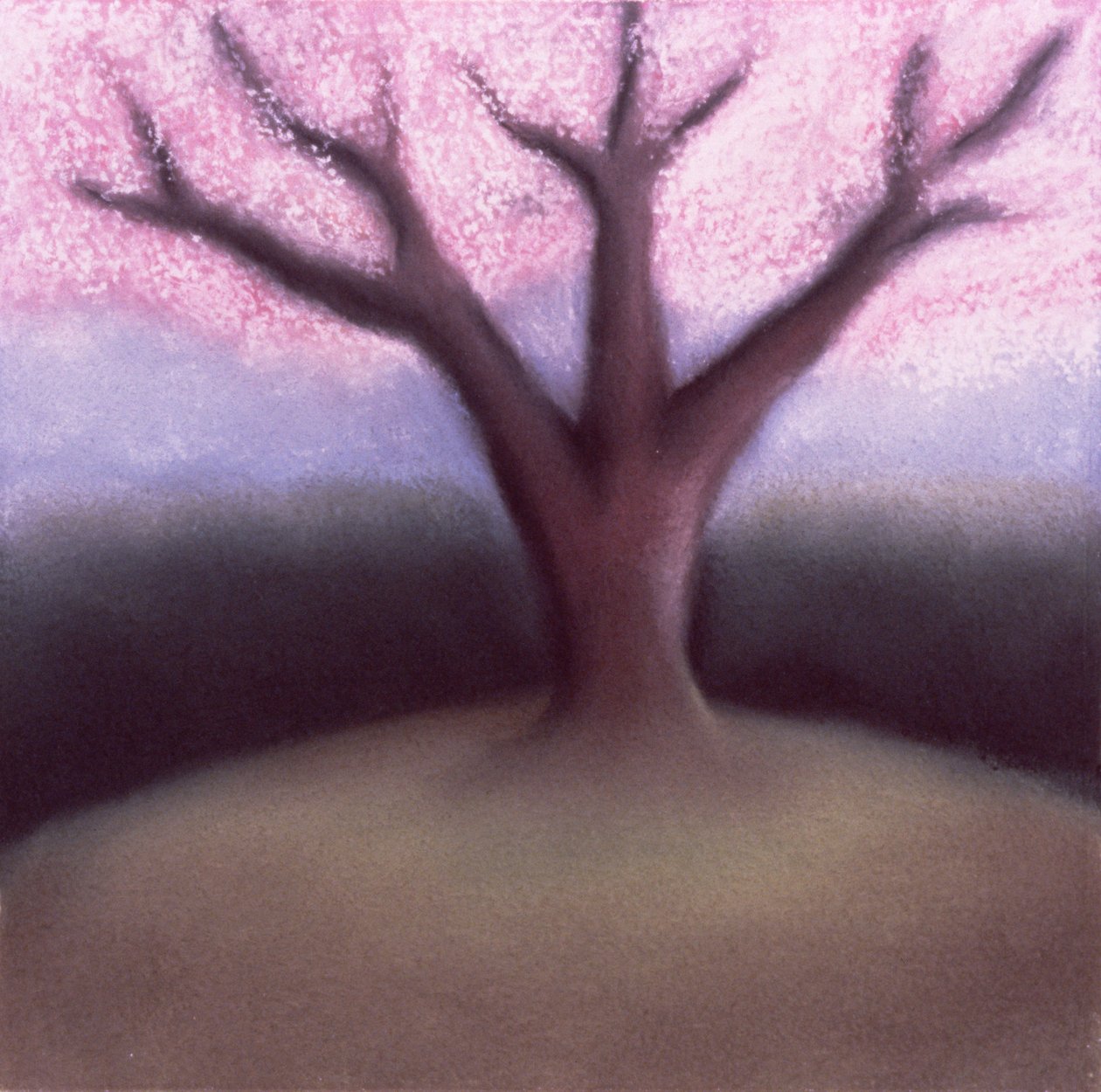 Blossom Tree (pastell på handgjort papper) av Sophie Hacker