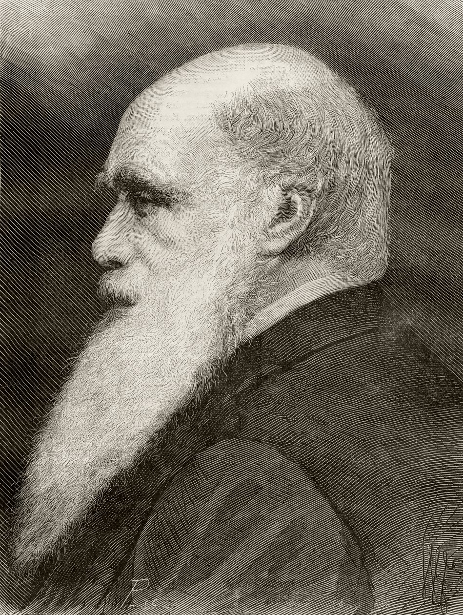 Charles Darwin, från "Nuestro Siglo", publicerade Barcelona, 1883 av Spanish School