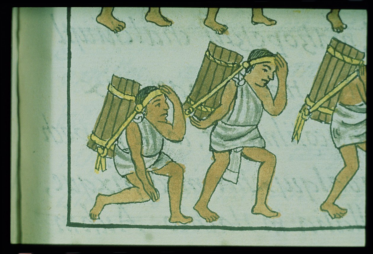 Bi Palat. 218-220 Kitabu cha IX wapagazi wa Azteki, kutoka 